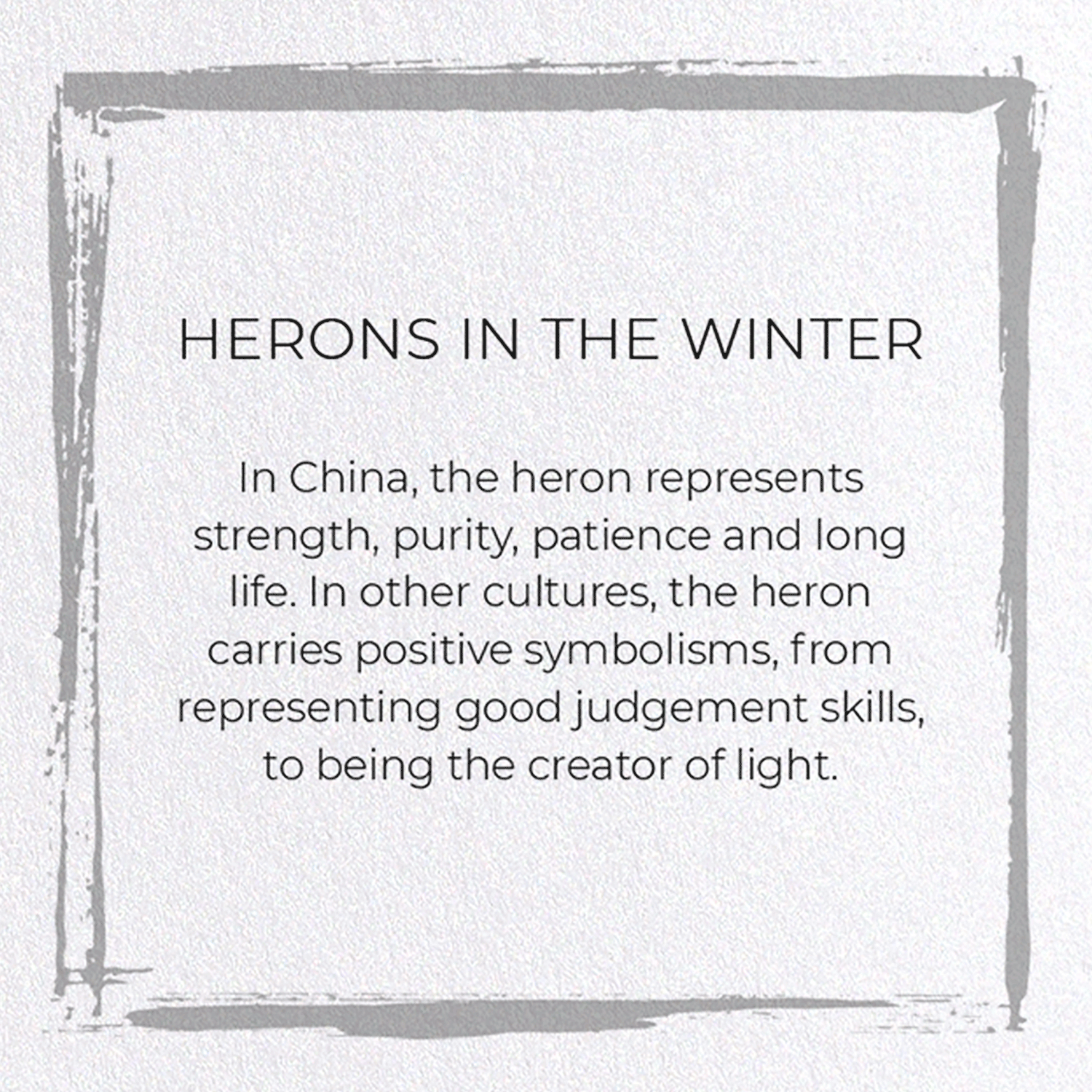 HERONS IN THE WINTER