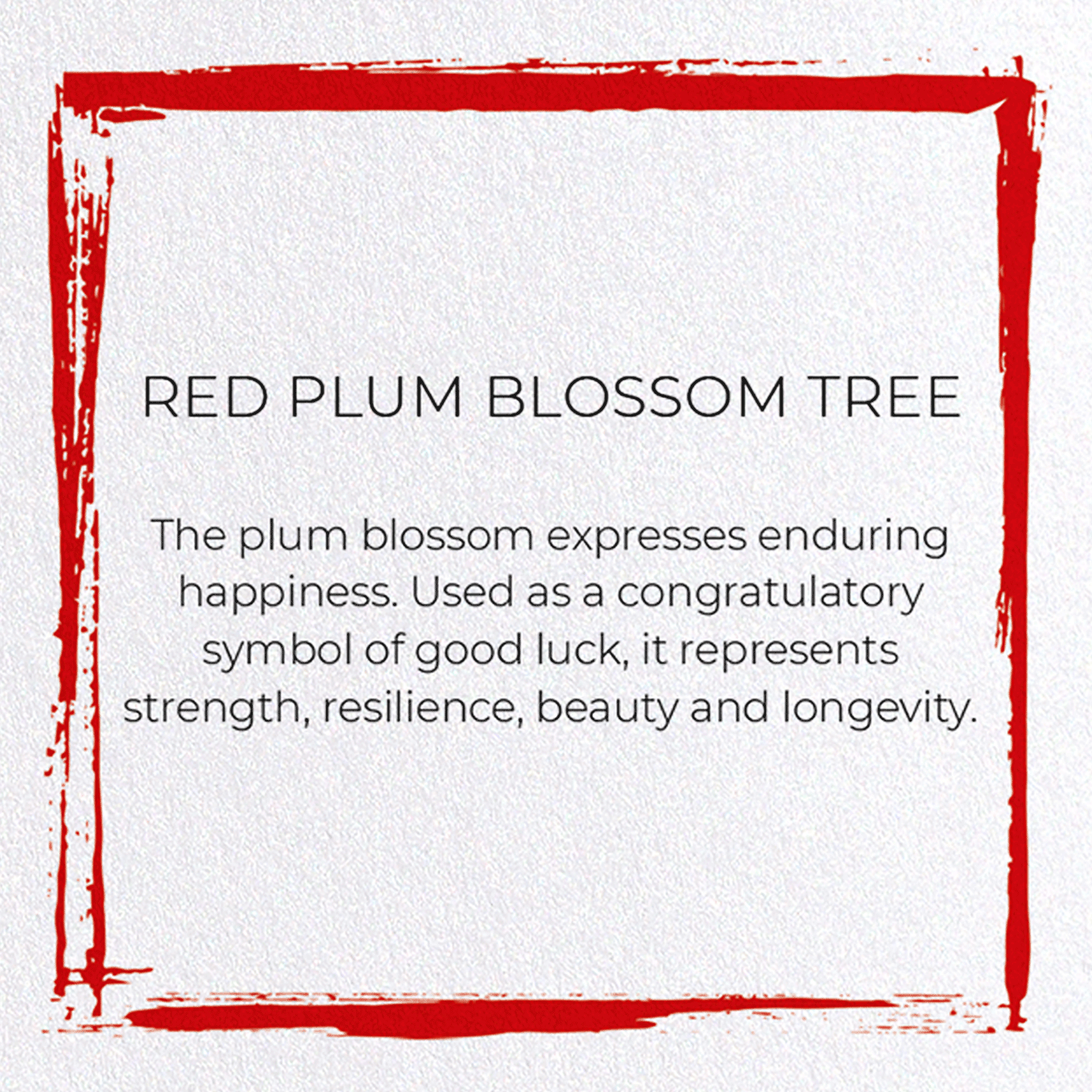 RED PLUM BLOSSOM TREE