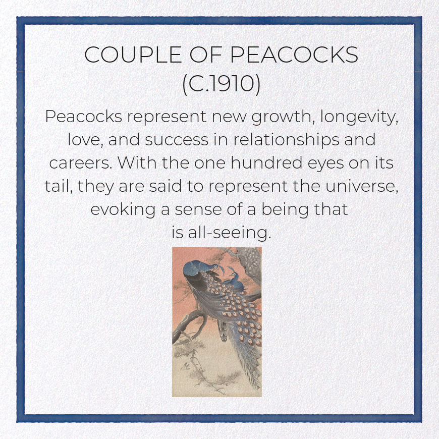 COUPLE OF PEACOCKS (C.1910)