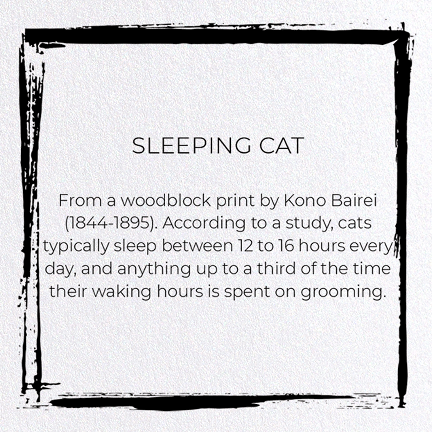 SLEEPING CAT