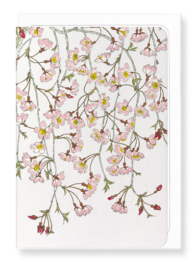 Ezen Designs - Shidarezakura blossoms - Greeting Card - Front