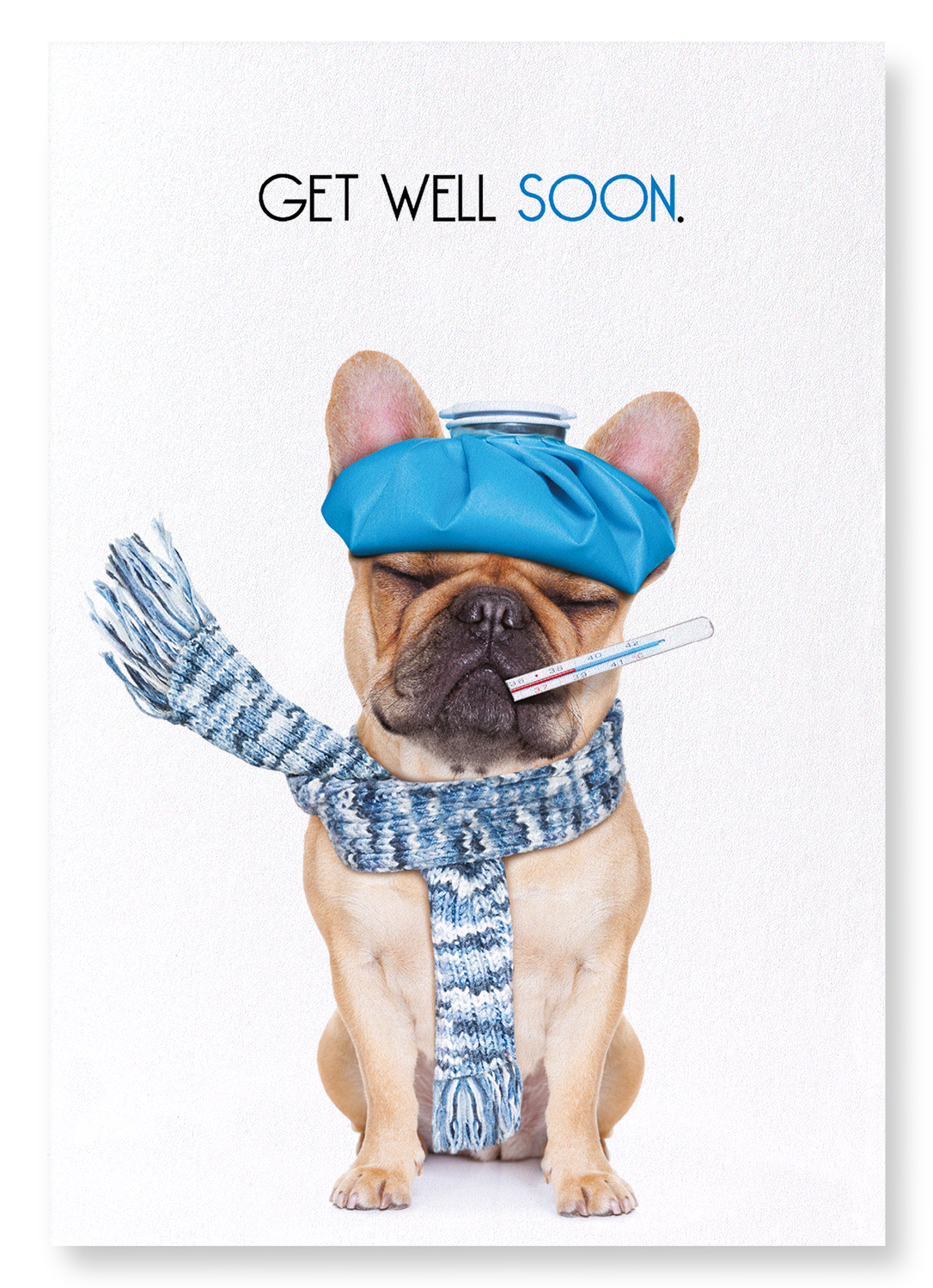 GET WELL SOON FRENCHIE