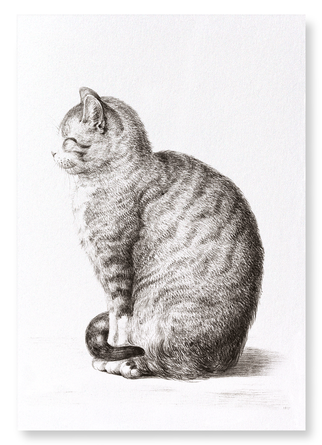 SITTING CAT (1815)