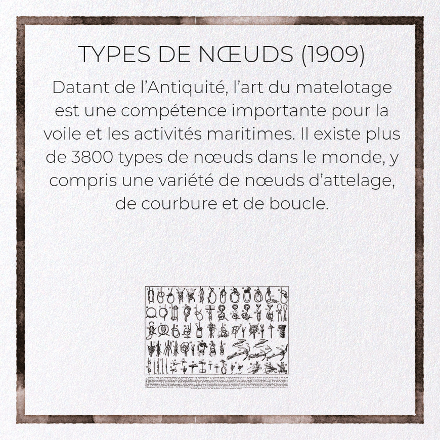 TYPES DE NŒUDS (1909)