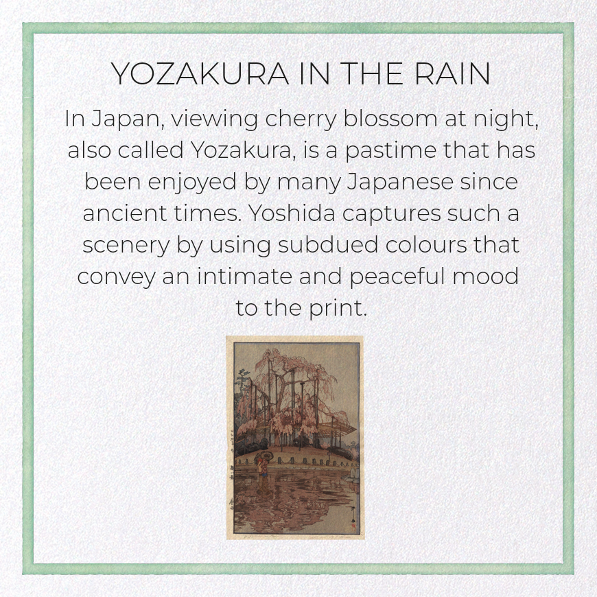 YOZAKURA IN THE RAIN