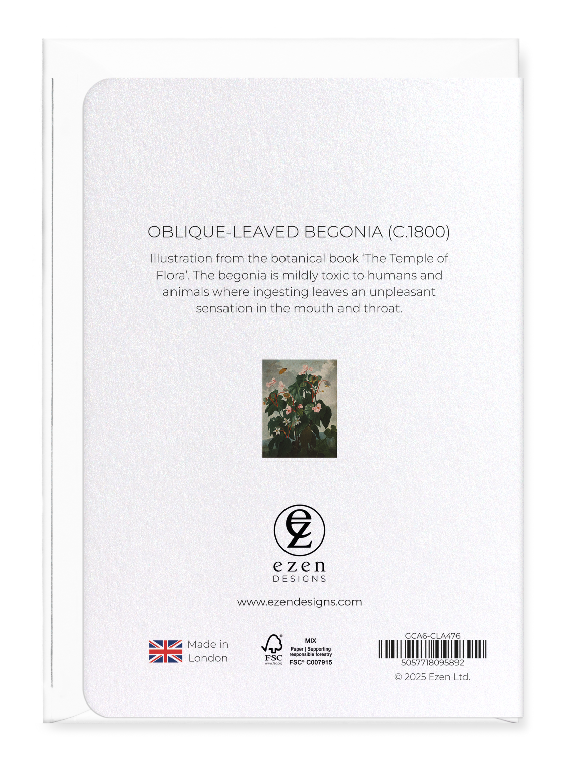 Ezen Designs - Oblique-leaved Begonia (c.1800) - Greeting Card - Back