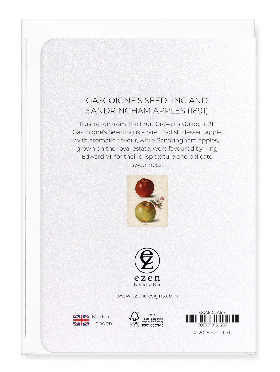 Ezen Designs - Gascoigne's Seedling and Sandringham Apples (1891) - Greeting Card - Back