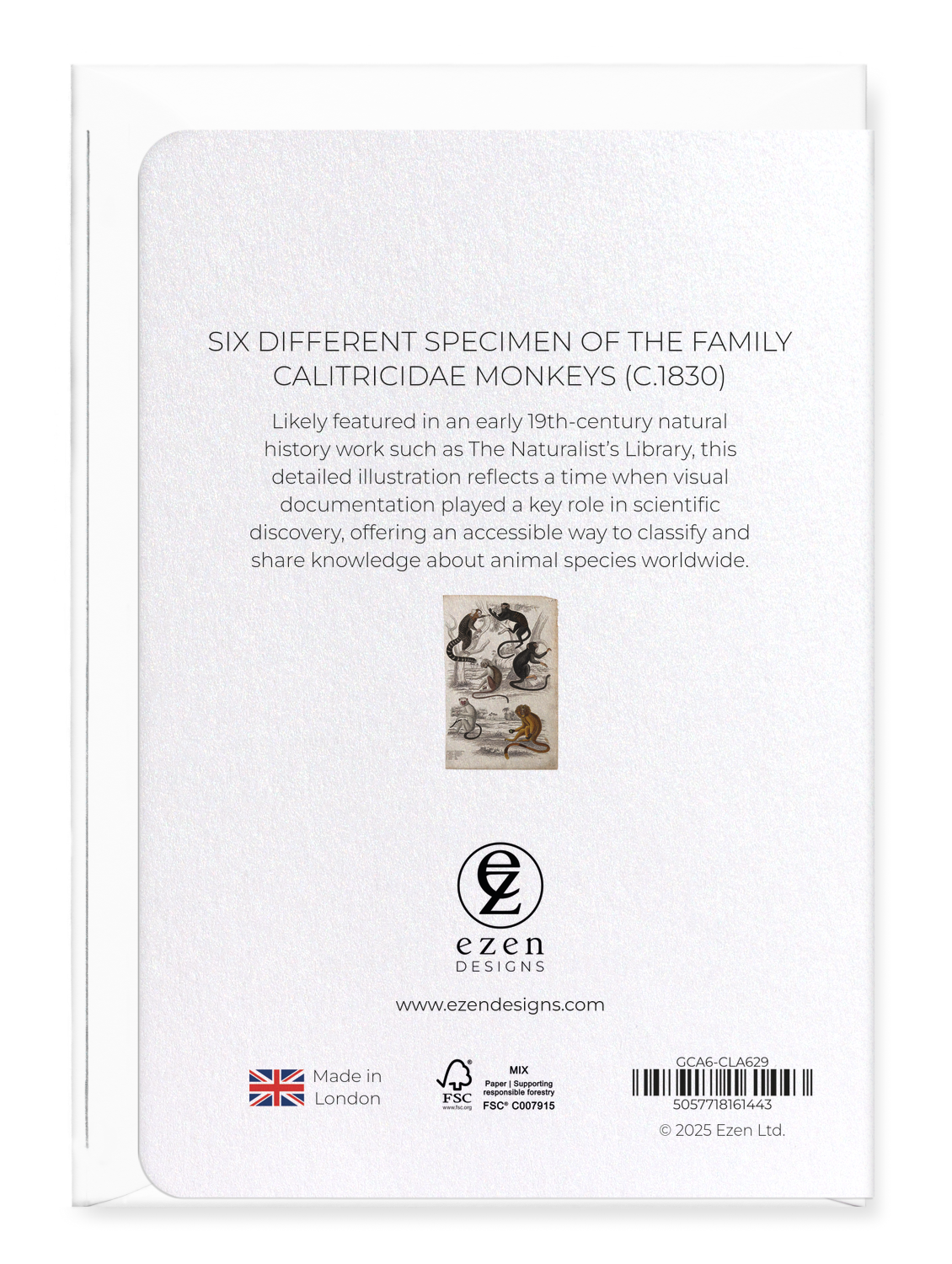 Ezen Designs - Six different specimen of the family Calitricidae Monkeys (c.1830) - Greeting Card - Back