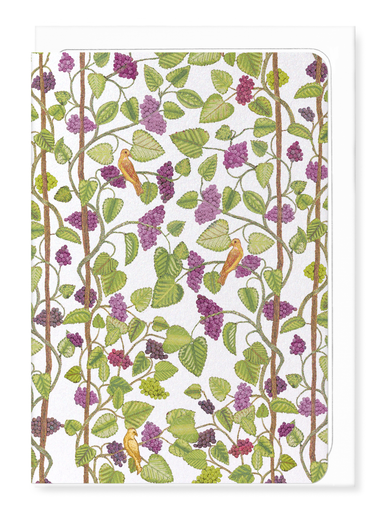 Ezen Designs - Embroidery of Grape Vines on white (16th C.) - Greeting Card - Front