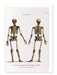 Ezen Designs - Human skeleton (1796) - Greeting Card - Front
