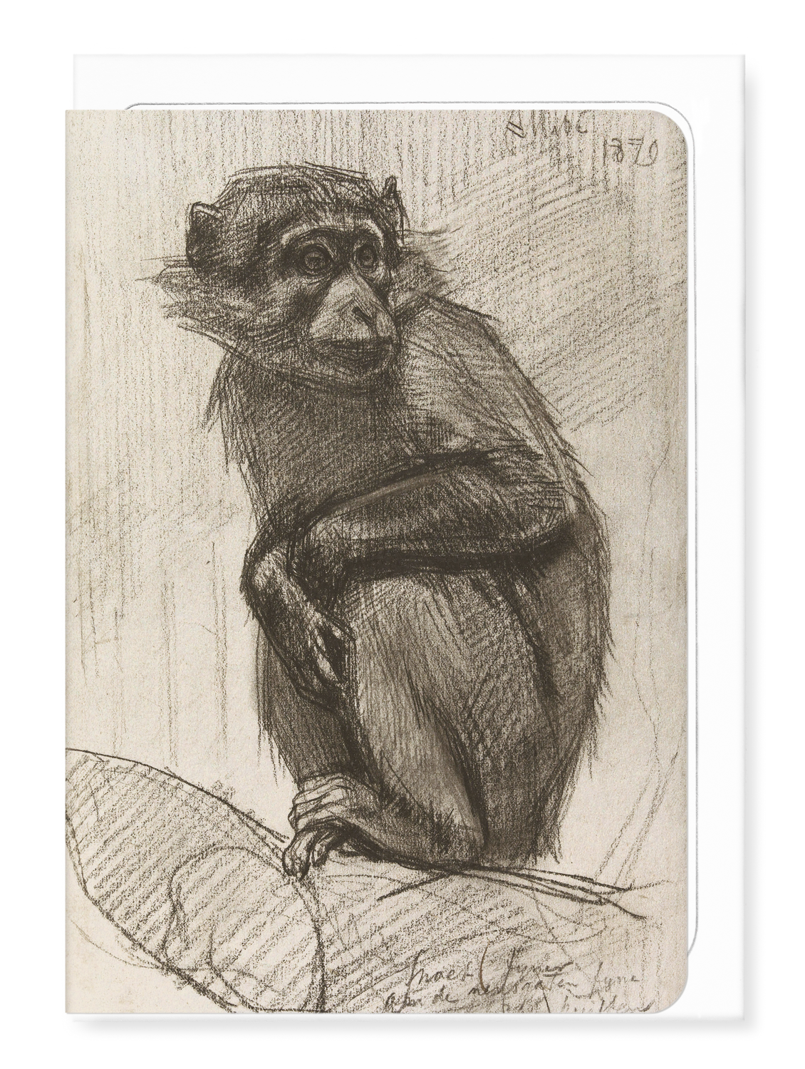 Ezen Designs - Monkey on a Branch (1879) - Greeting Card - Front