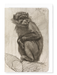 Ezen Designs - Monkey on a Branch (1879) - Greeting Card - Front