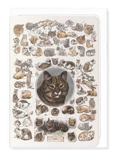 Ezen Designs - Cats La Chasse illustrée (1879) - Greeting Card - Front