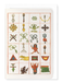 Ezen Designs - Mongolian Ritual Symbols - Greeting Card - Front