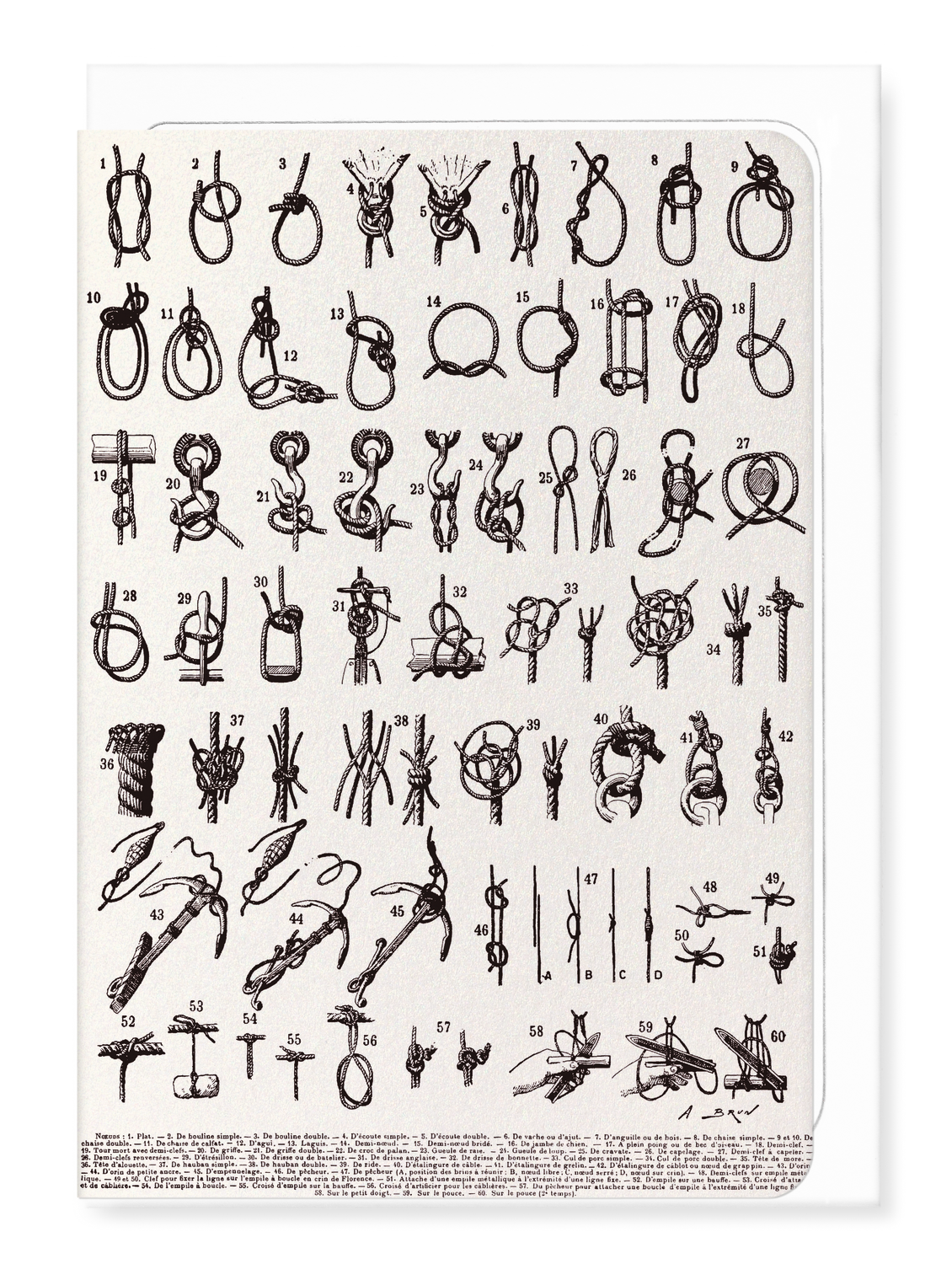 Ezen Designs - Types de Nœuds (1909) - Greeting Card - Front