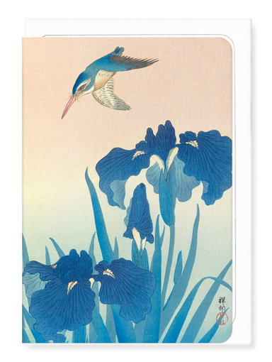 Ezen Designs - Kingfisher and iris - Greeting Card - Front