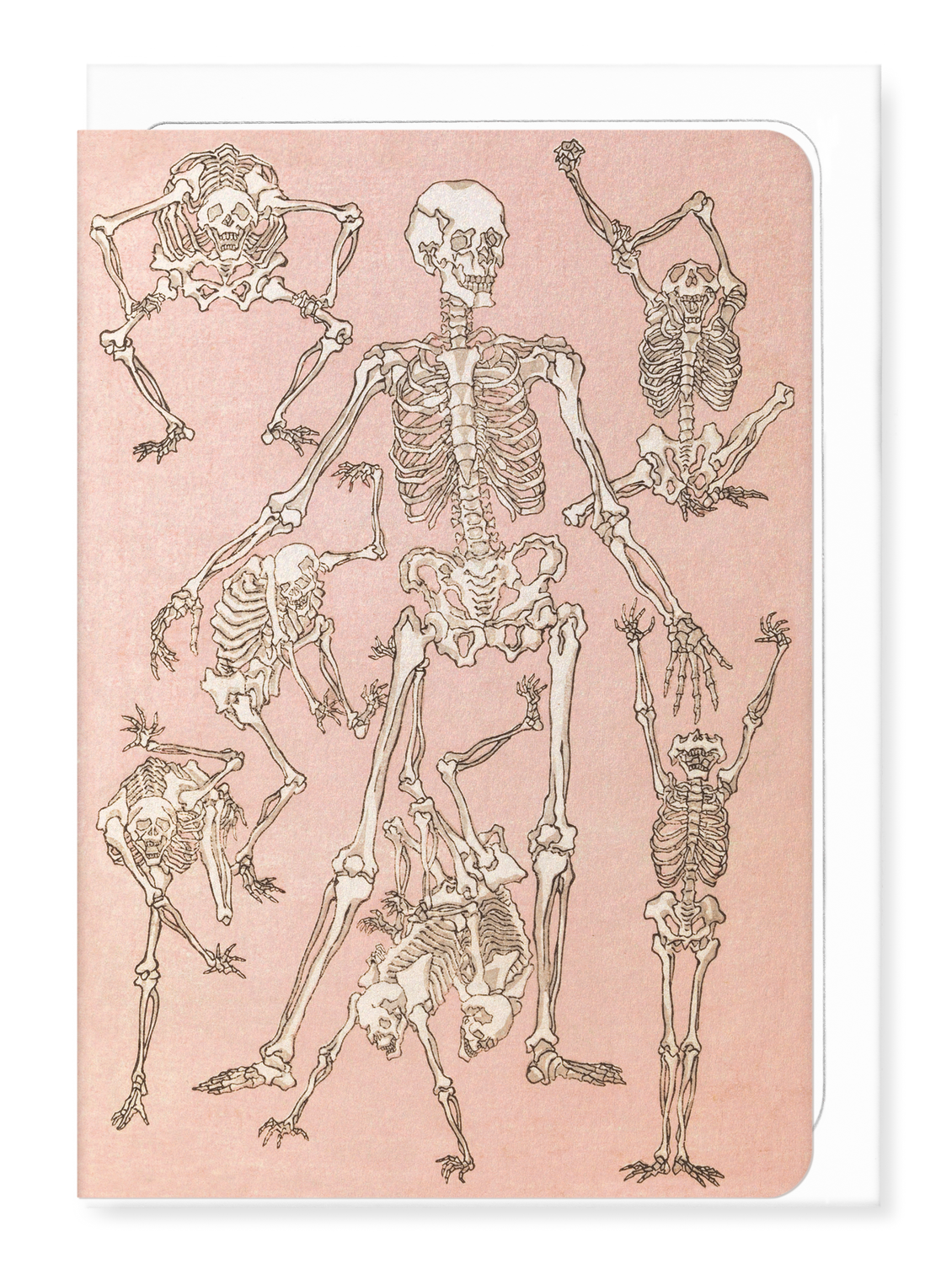 Ezen Designs - Study of Skeletons Front (1881) - Greeting Card - Front