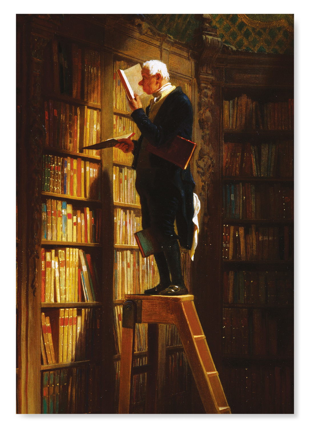 BOOKWORM (C.1850)