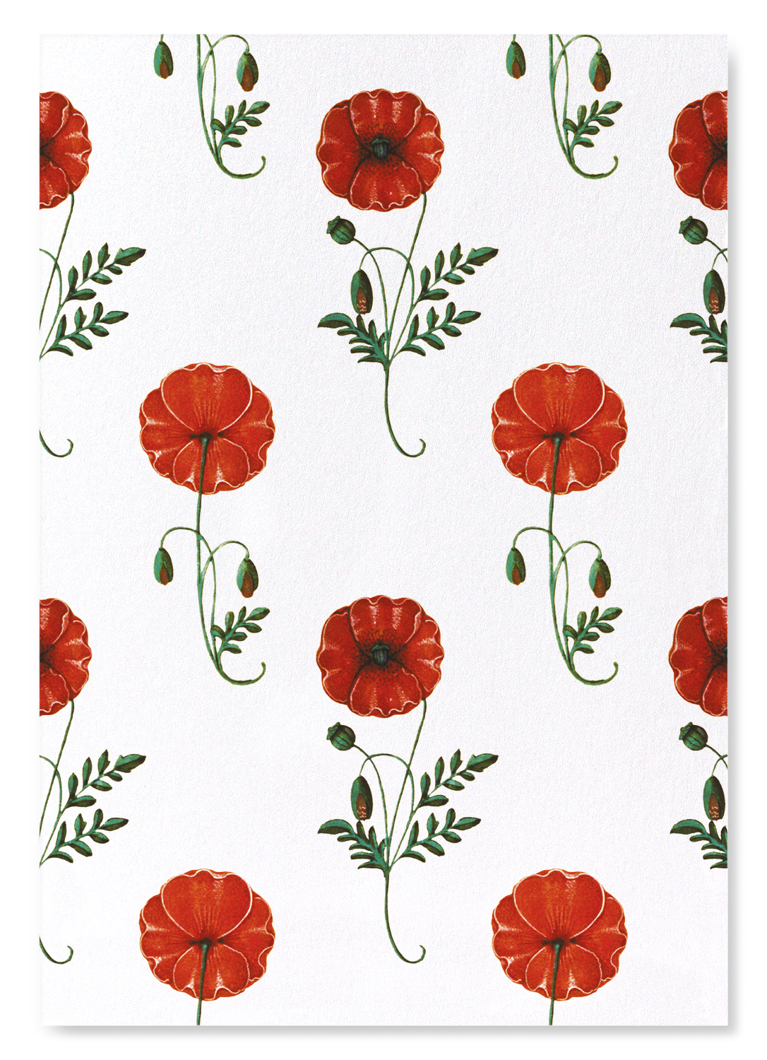 RED POPPIES (C.1520)