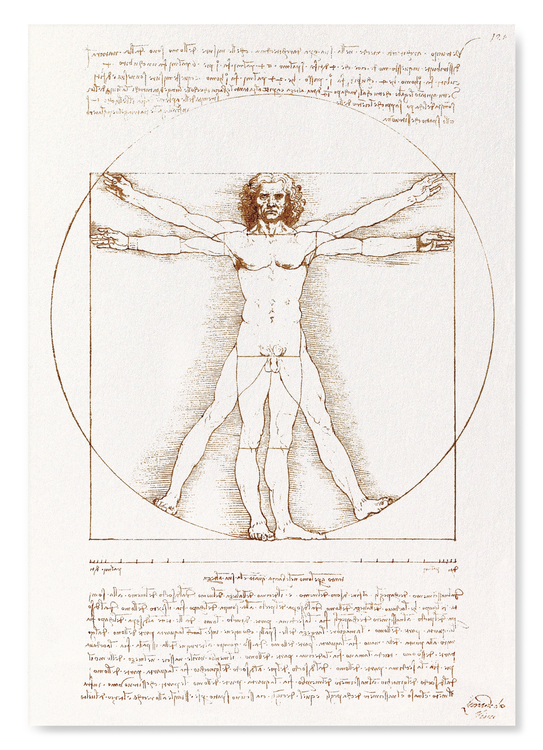 VITRUVIAN MAN (C.1490)