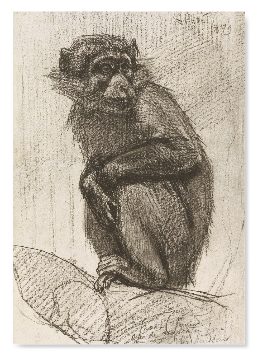MONKEY ON A BRANCH (1879)