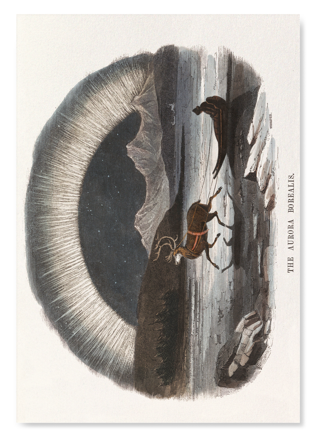 AURORA BOREALIS (1911)