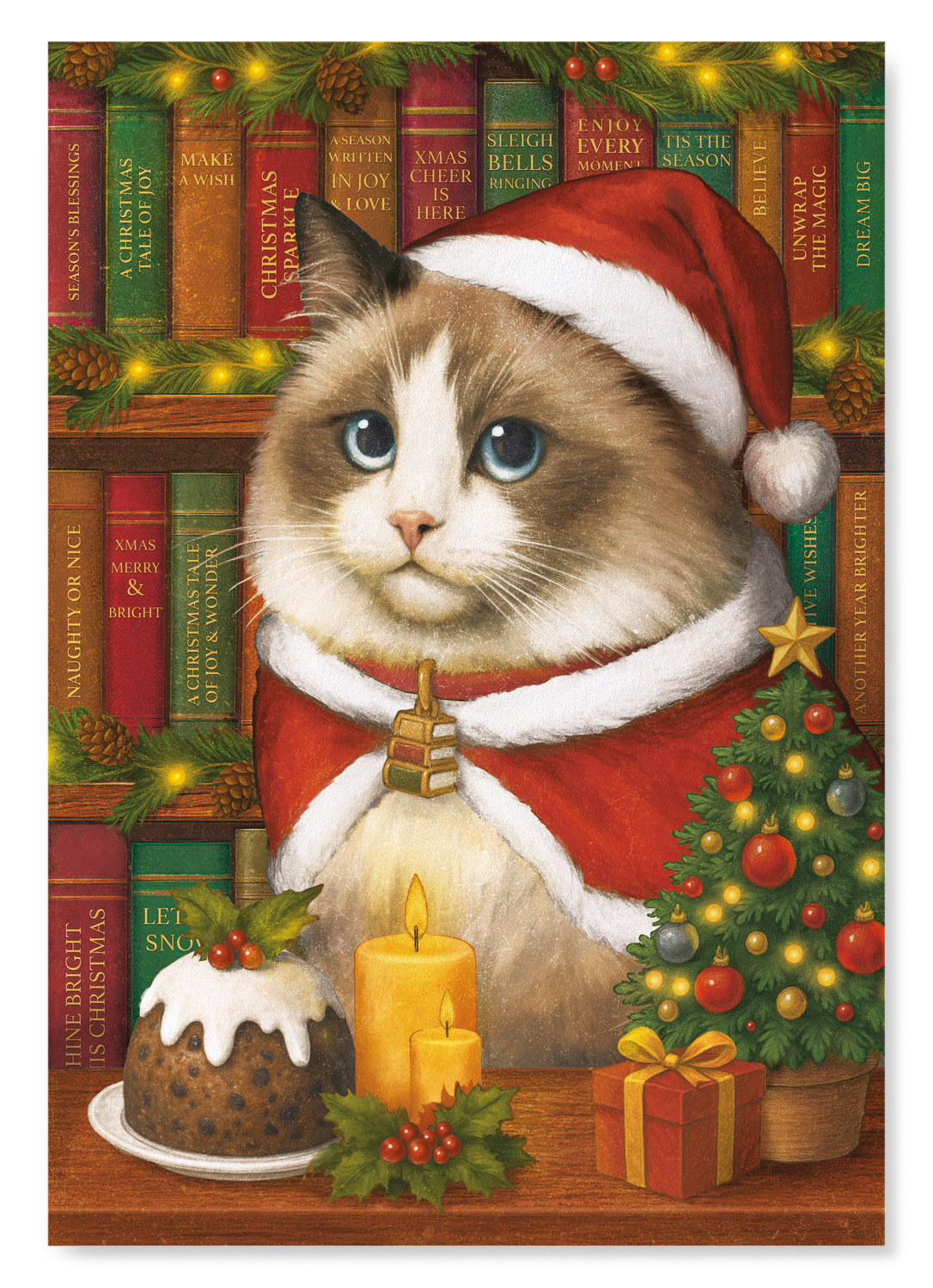 CHRISTMAS CAT AND BOOKS