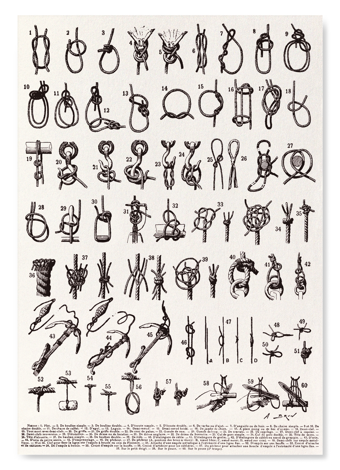 TYPES DE NŒUDS (1909)