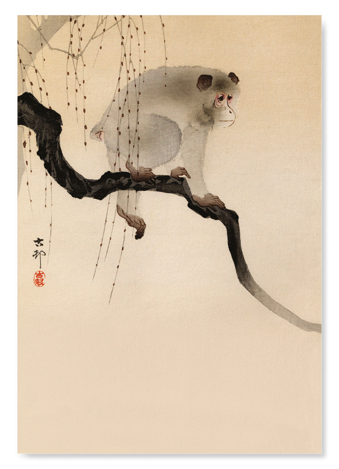 MONKEY IN A TREE