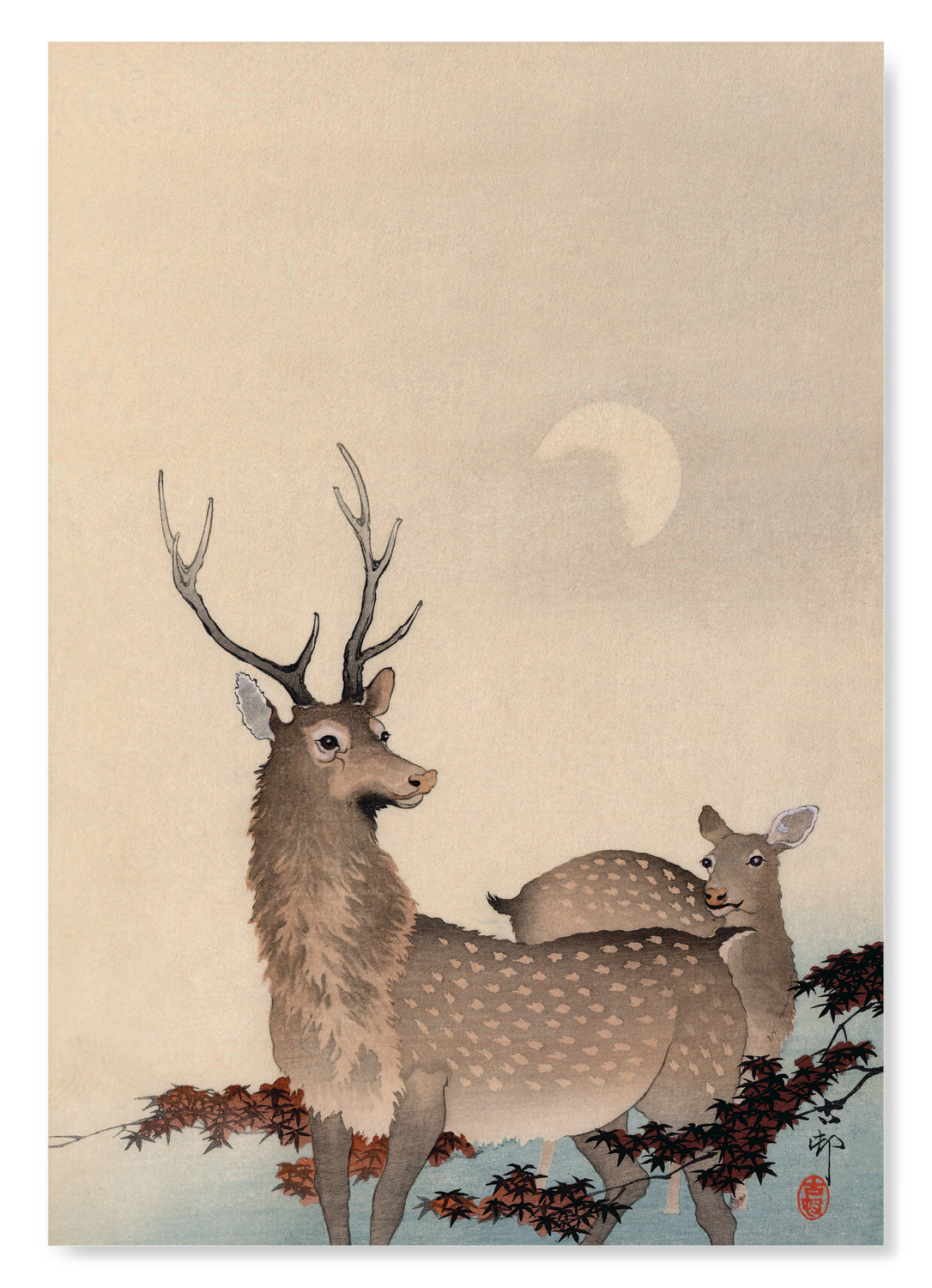 TWO DEER AND MAPLE