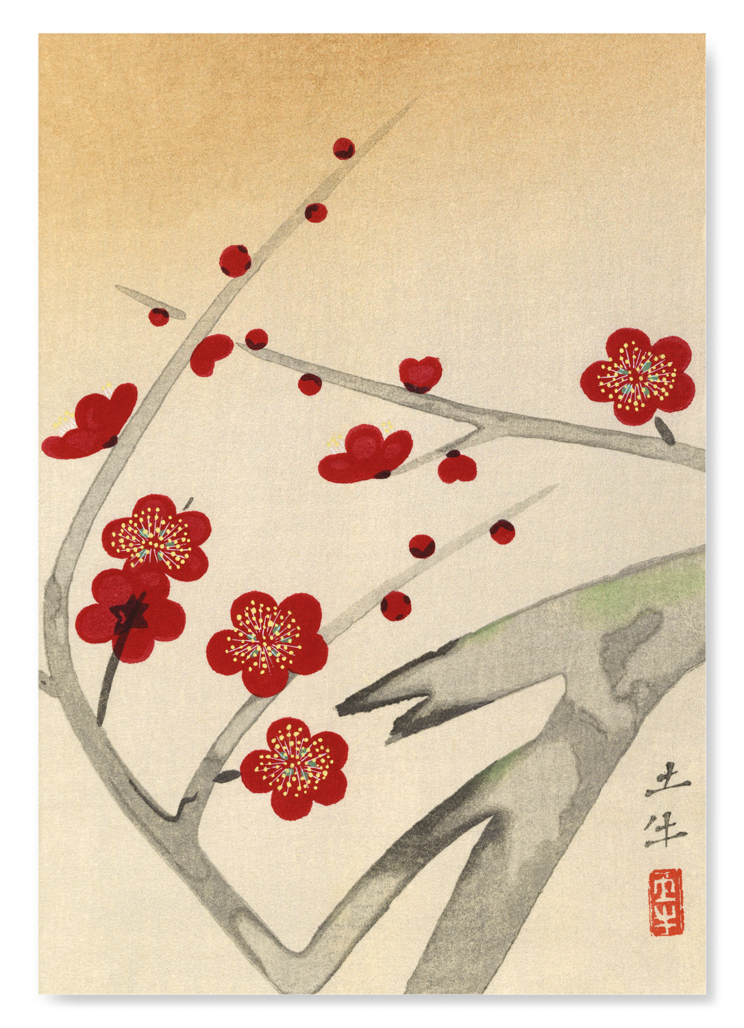 RED PLUM BLOSSOM TREE