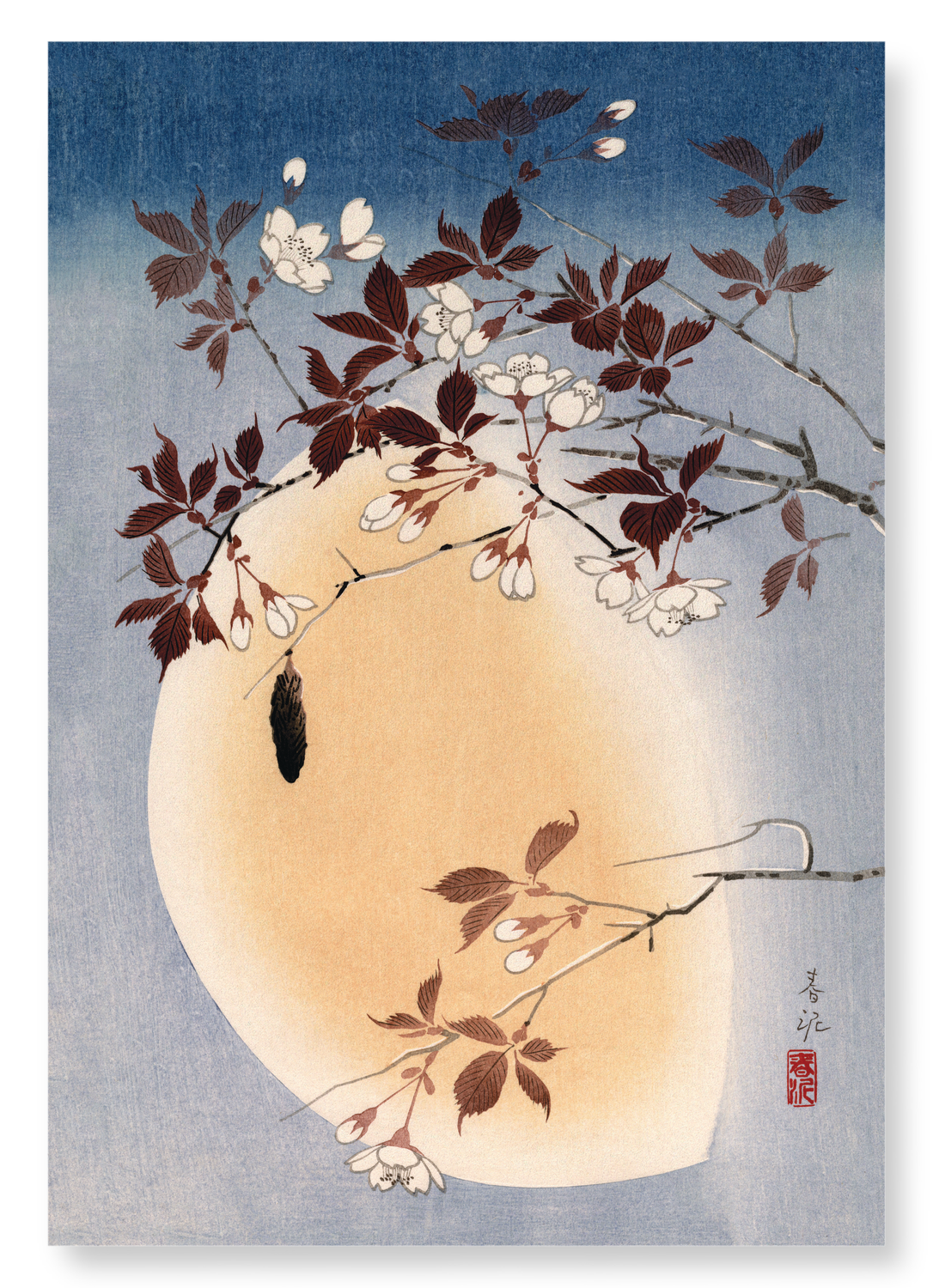 BLOSSOMS AND MOON