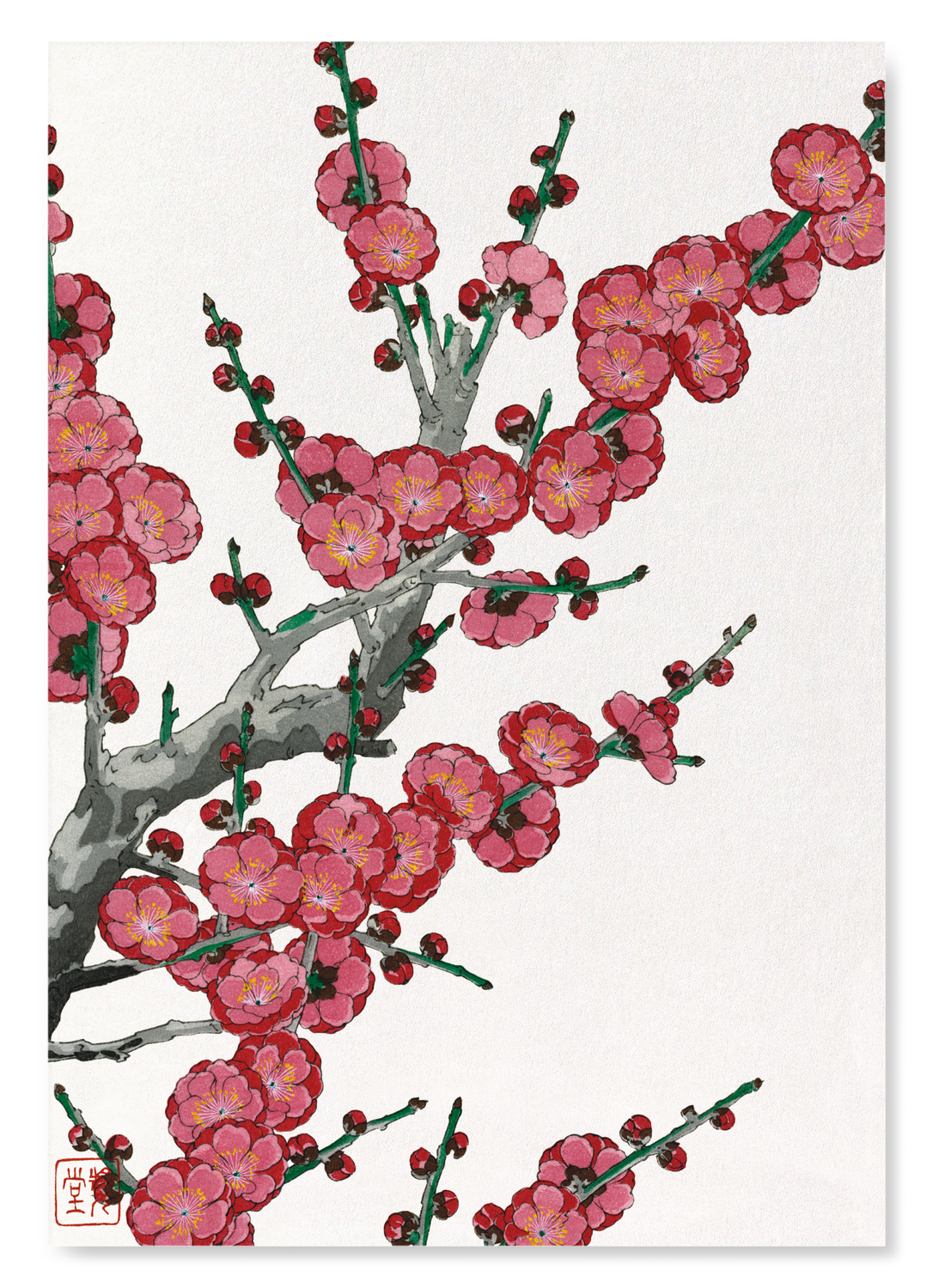 RED PLUM BLOSSOM (1953)