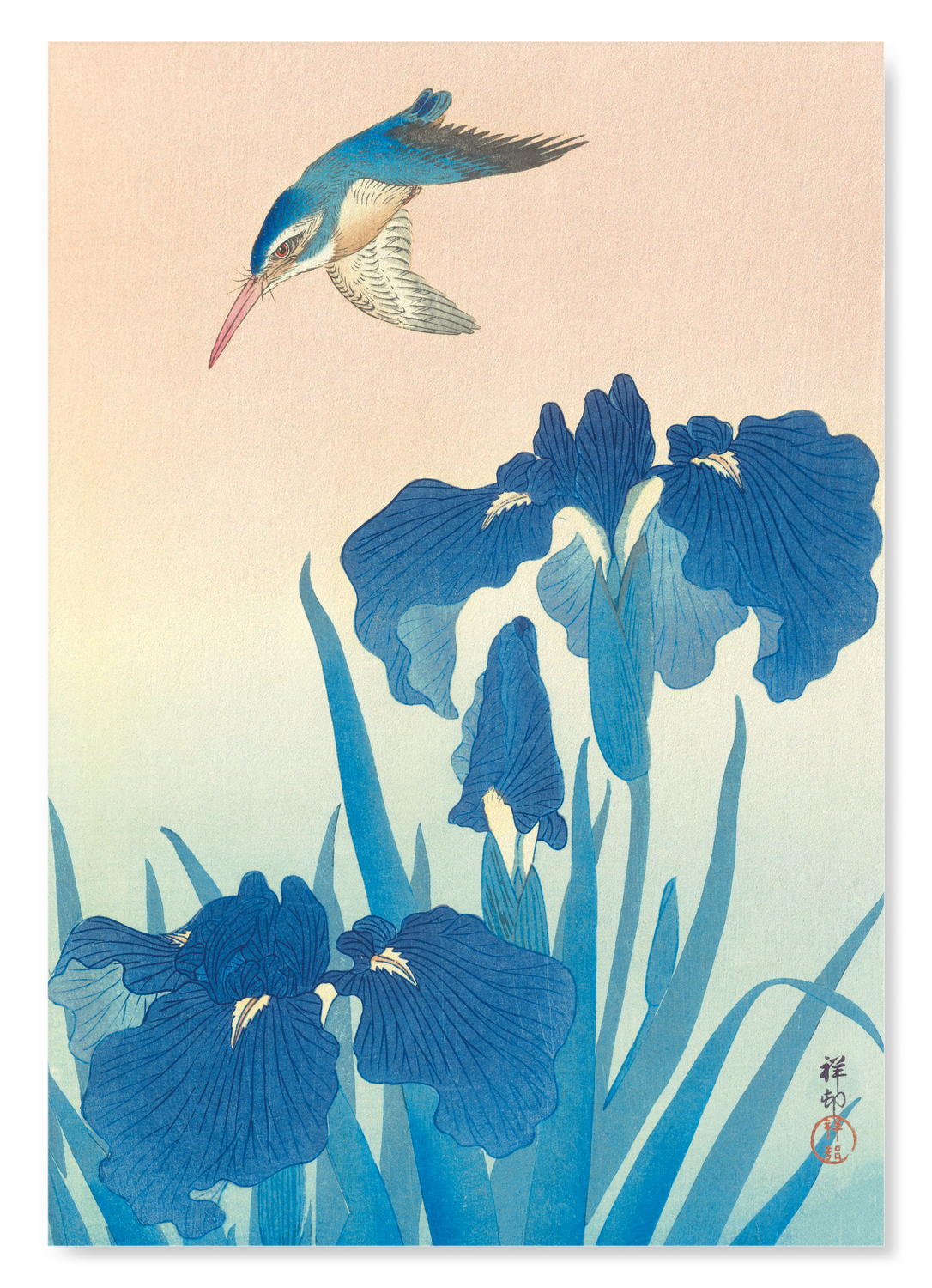 KINGFISHER AND IRIS