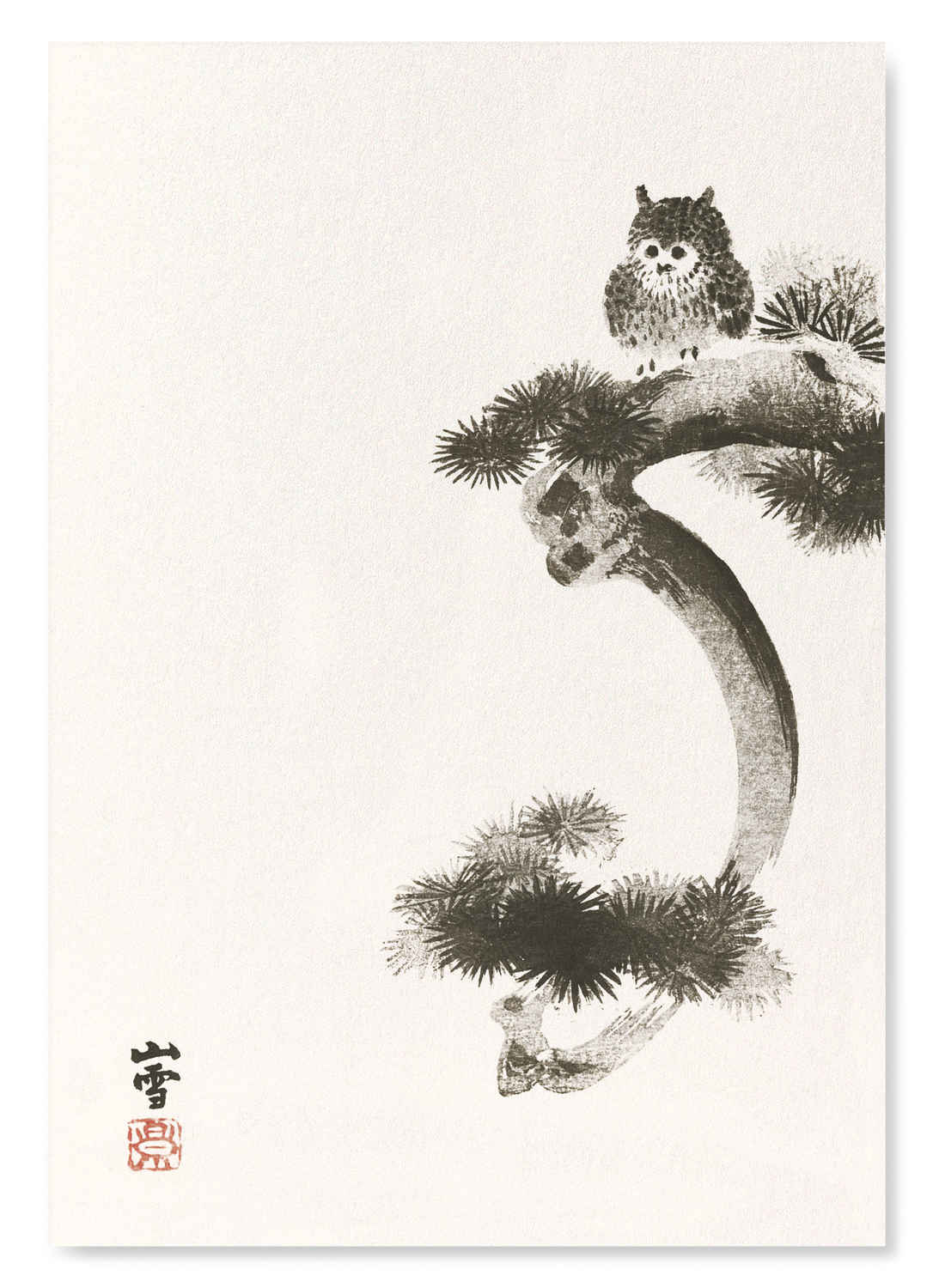 OWL ON PINE TREE