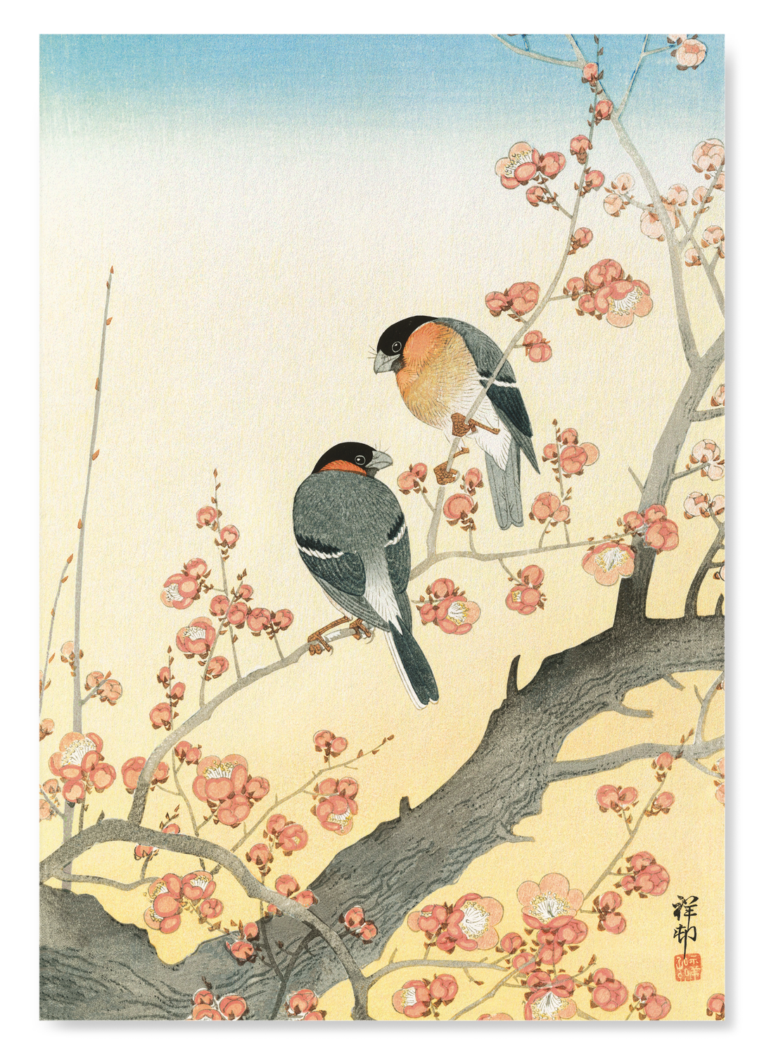 BULLFINCHES AND PLUM BLOSSOMS (C.1900)