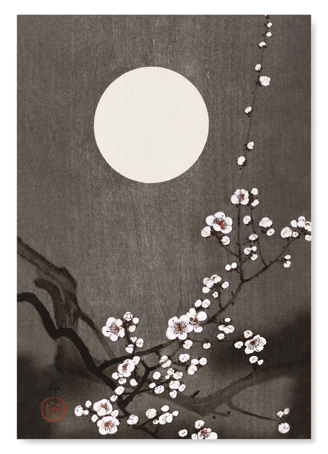 FLOWERING PLUM BLOSSOM AT FULL MOON