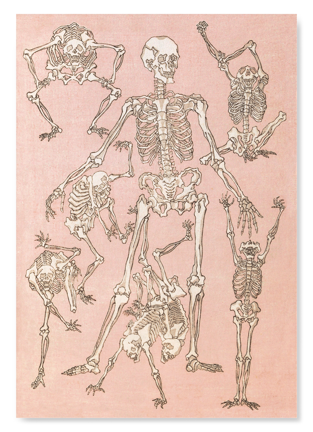 STUDY OF SKELETONS FRONT (1881)