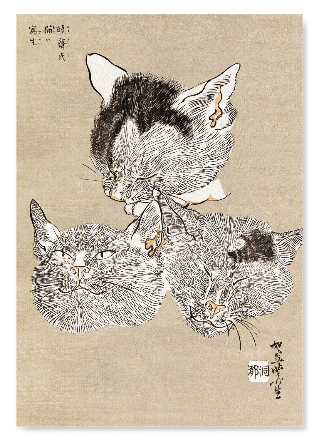 THREE CAT HEADS (C.1880)