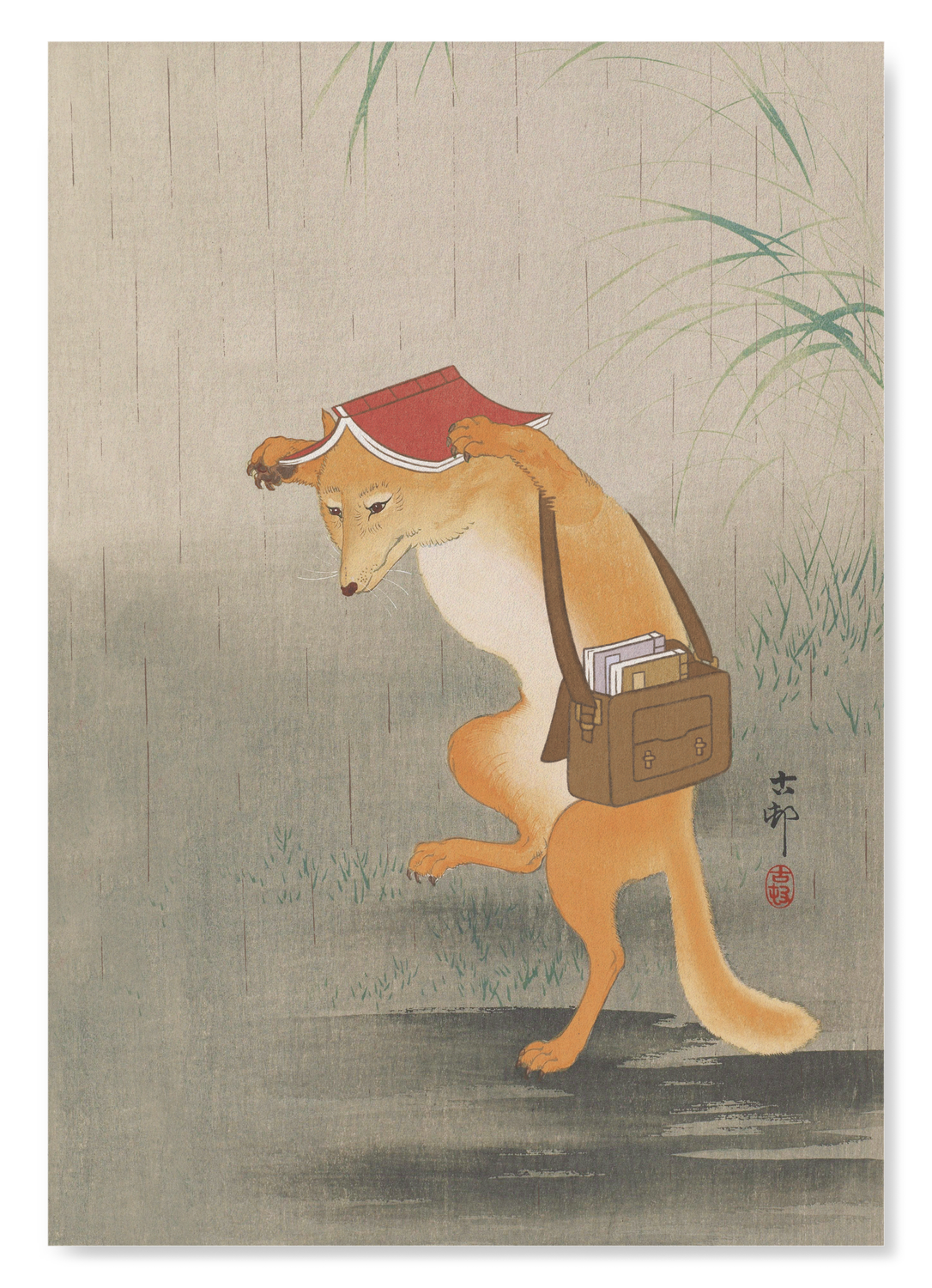 BOOK LOVING FOX