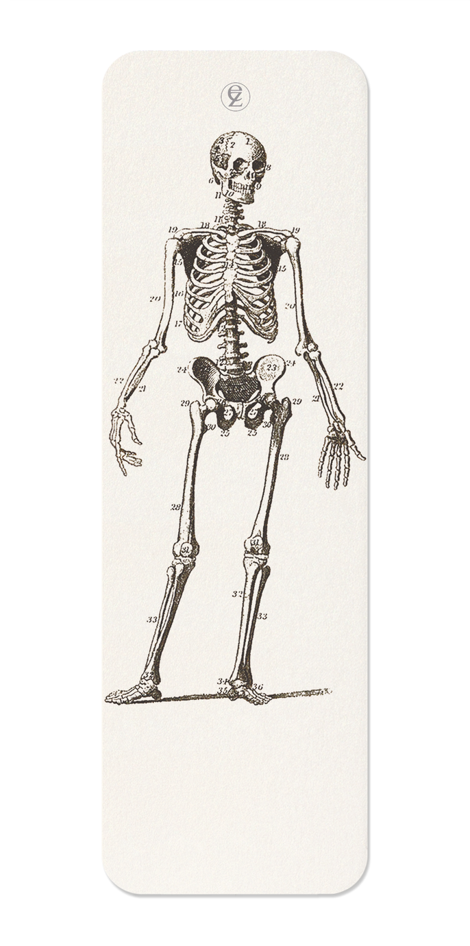 SKELETONS (C.1830-C.1850)