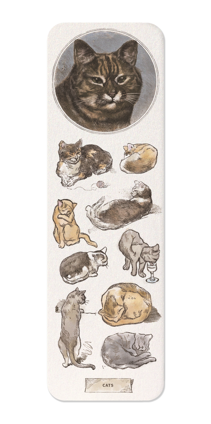 CATS LA CHASSE ILLUSTRÉE (1879)