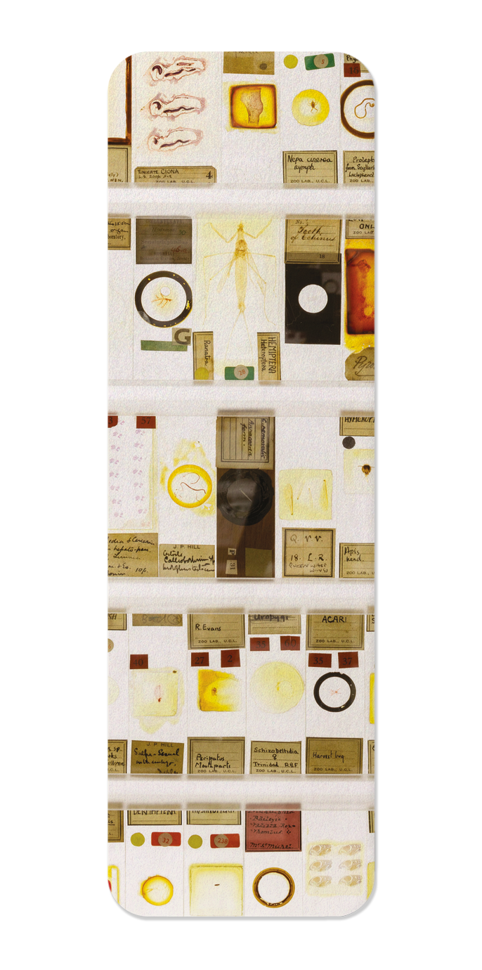 THE MICRARIUM AT UCL GRANT MUSEUM OF ZOOLOGY