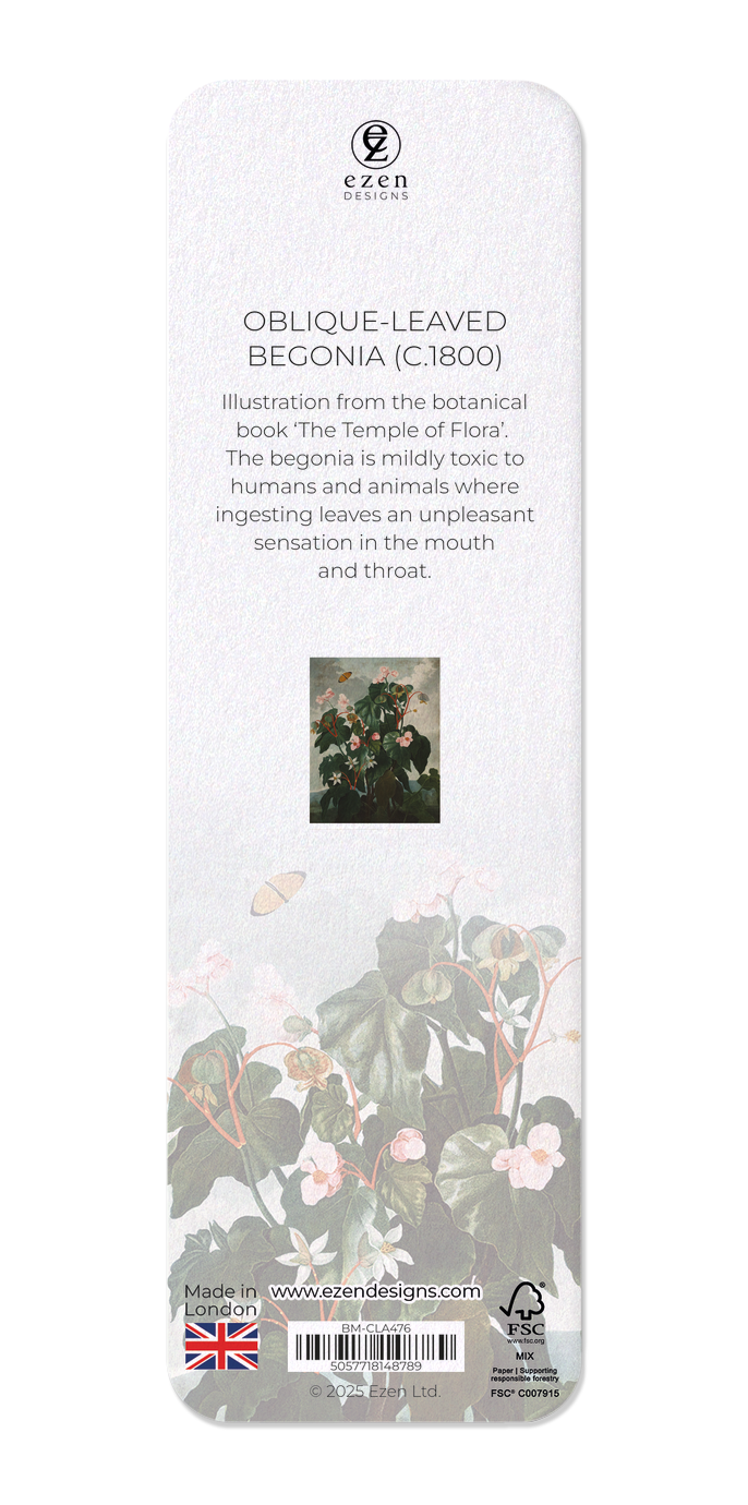 OBLIQUE-LEAVED BEGONIA (C.1800)