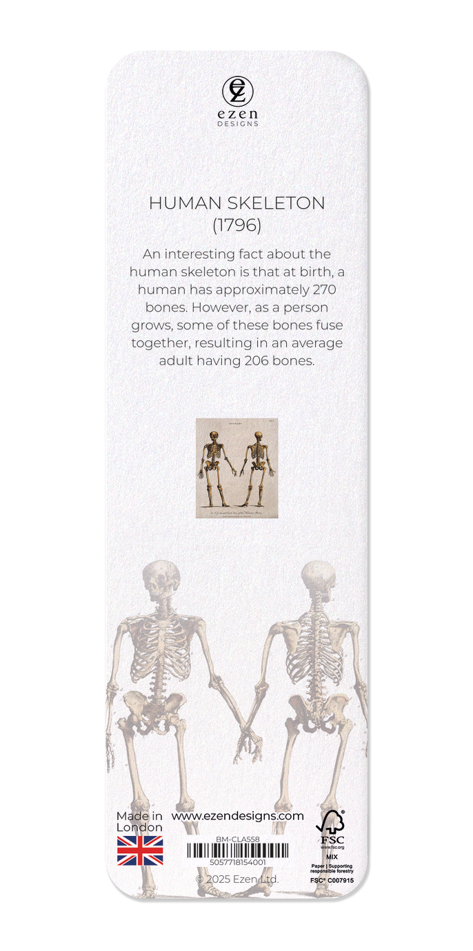 HUMAN SKELETON (1796)