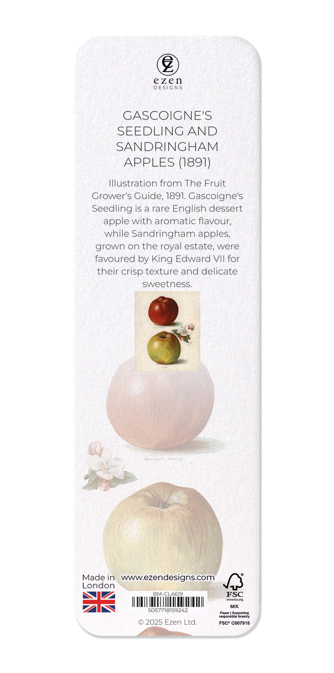 GASCOIGNE'S SEEDLING AND SANDRINGHAM APPLES (1891)