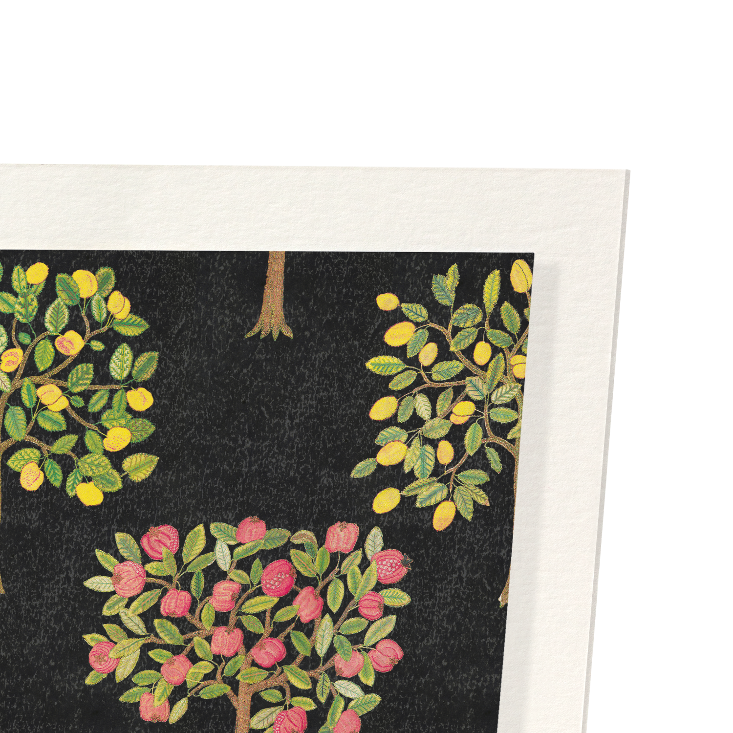 POMEGRANATE AND LEMON TREES ON BLACK (16THC)