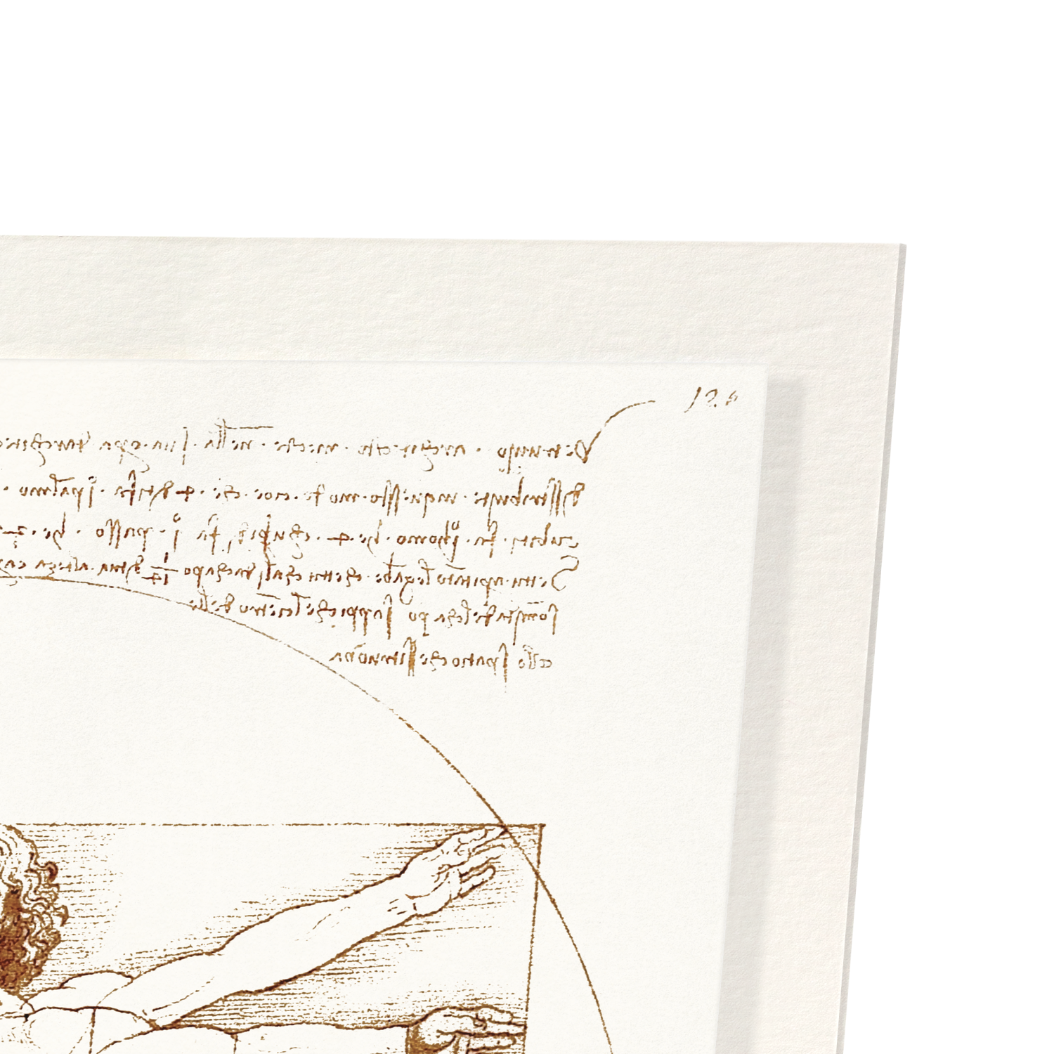 VITRUVIAN MAN (C.1490)