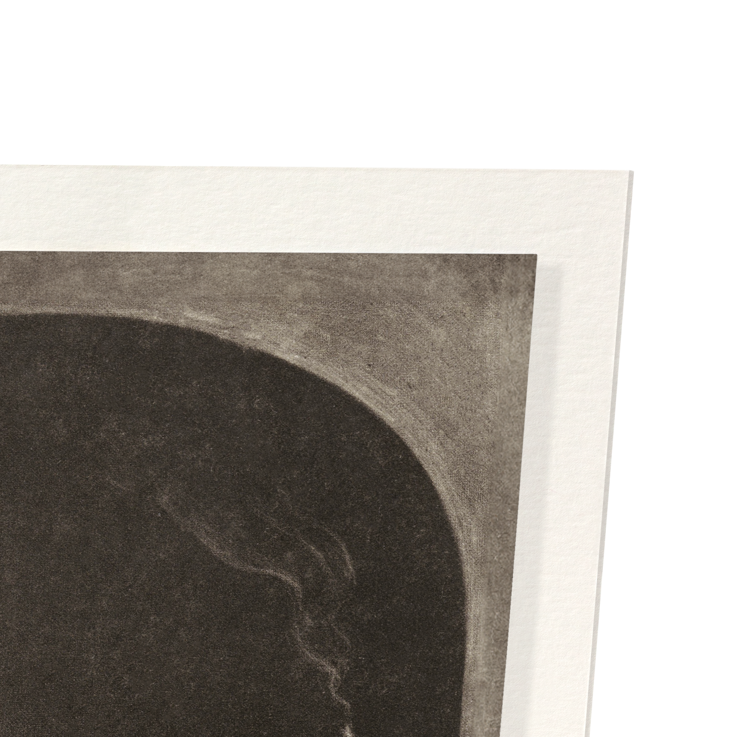 VANITAS STILL LIFE IN A NICHE (17THC)