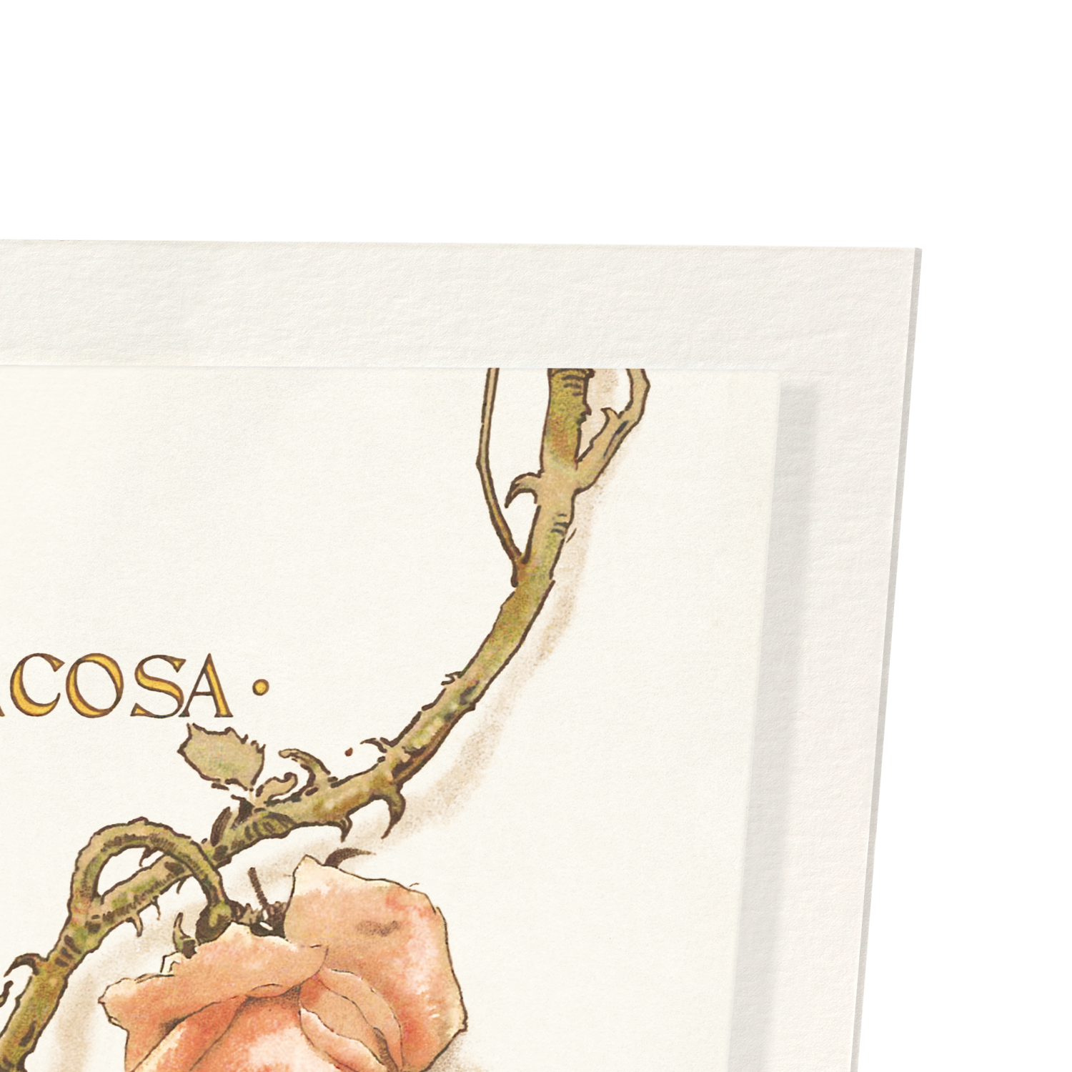 TOSCA OPERA PROGRAMME COVER (1899)